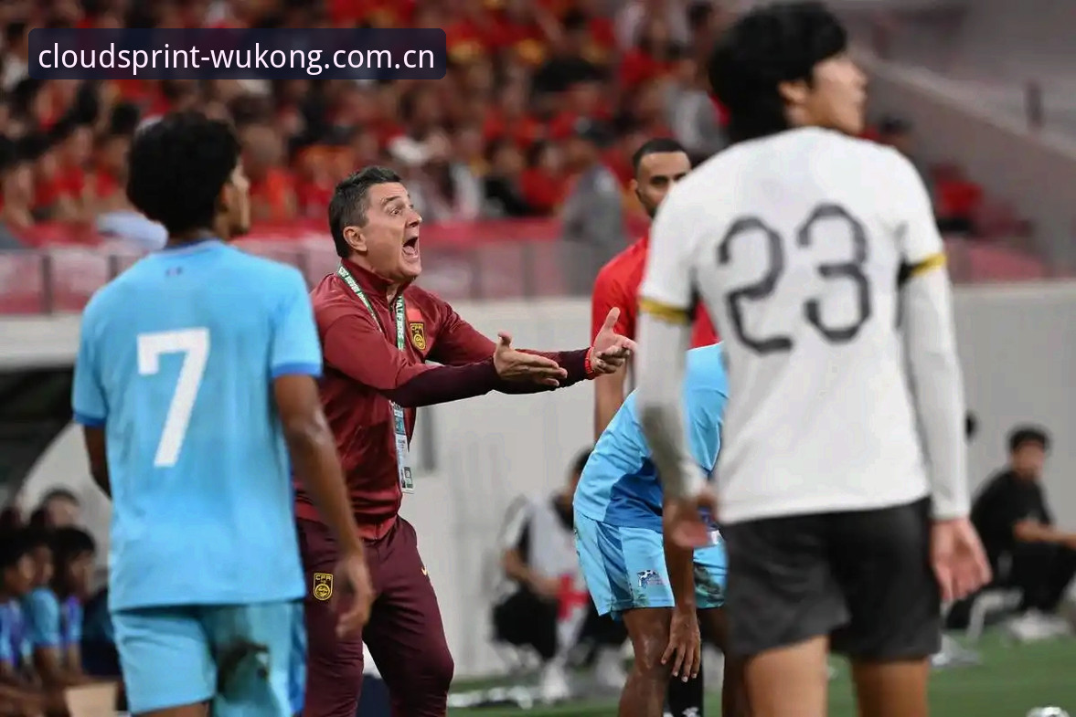 世界杯66队扩军 vs 传统32队：中国男足的机遇与悟空体育的观赛新体验
