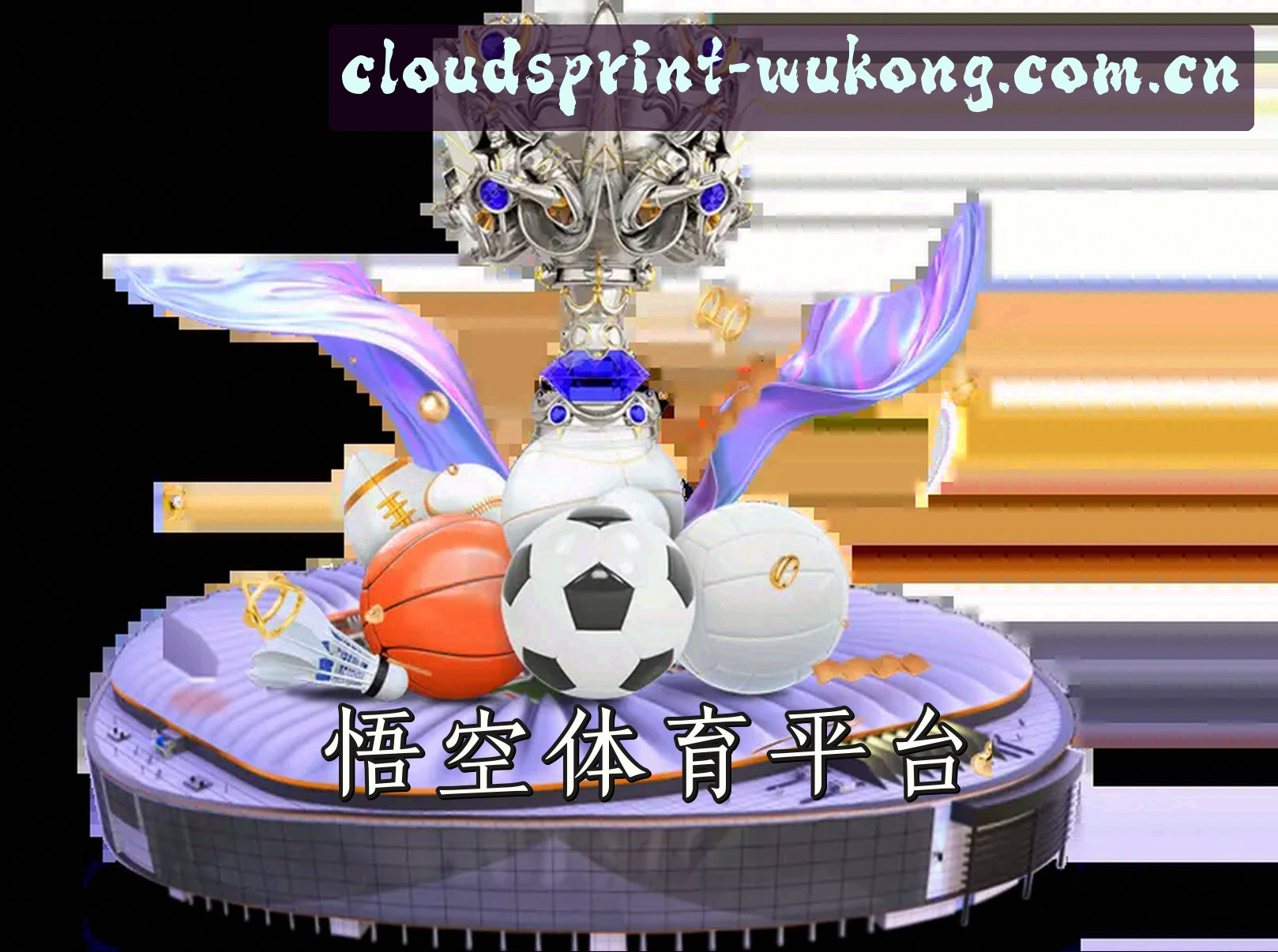 关于我们信息